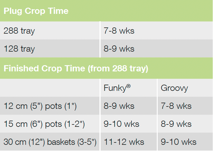 Crop Time Funky