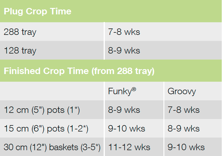 Crop Time Groovy