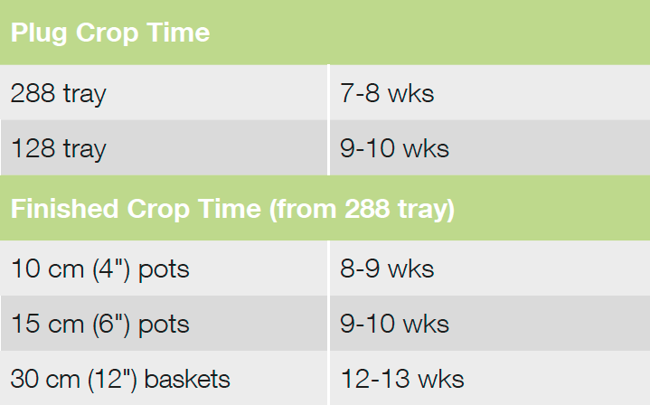 Crop Time Nonstop