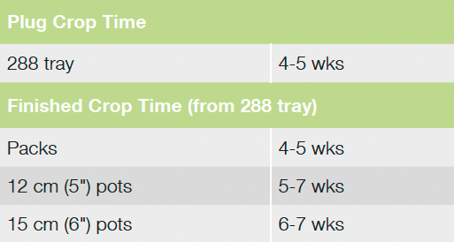 Croptime Success HD