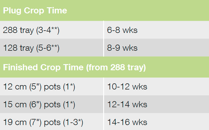 Croptime Chill-Out