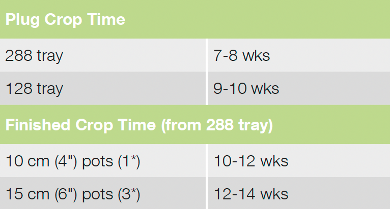 Croptime Elise