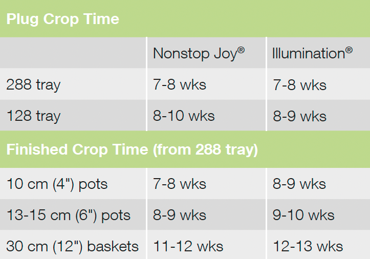 Croptime Illumination