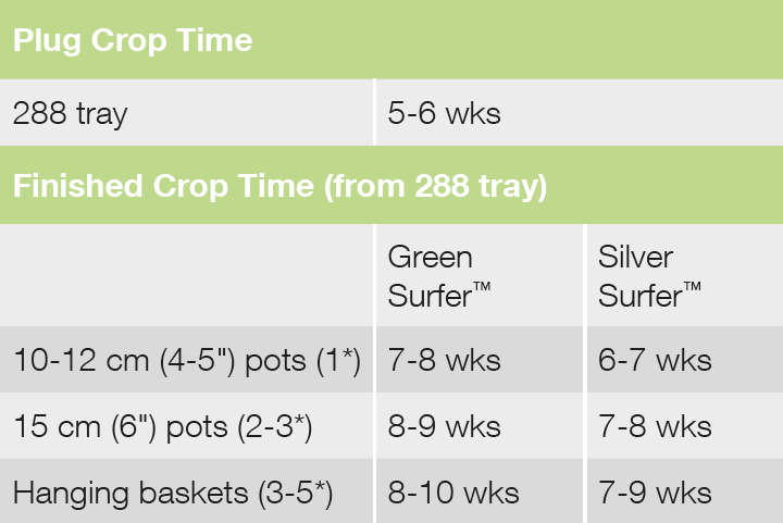 Croptime Silver Surfer