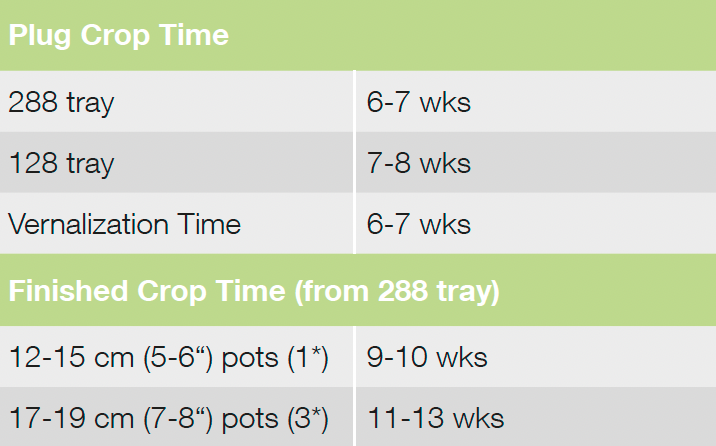 Croptime Spring Magic