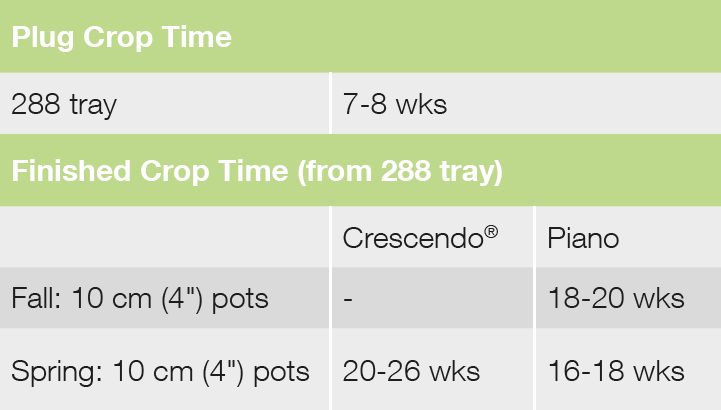 Droptime Crescendo