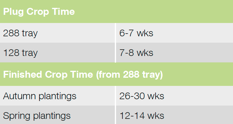 Croptime Fama