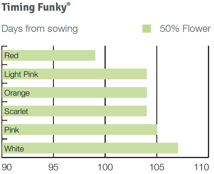 Timing Funky