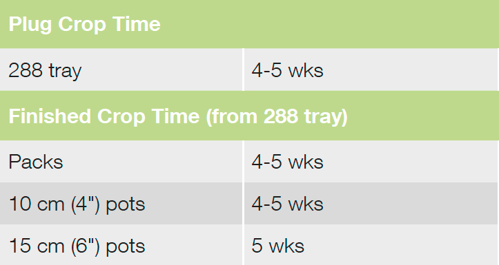 Croptime Glorious