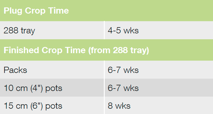 Croptime Fresh Look