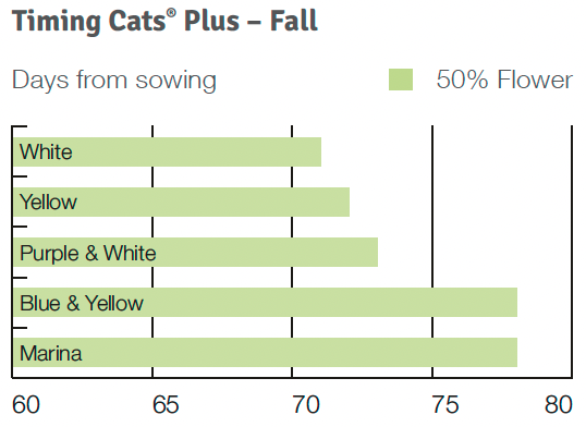 Timing Cats Plus Fall