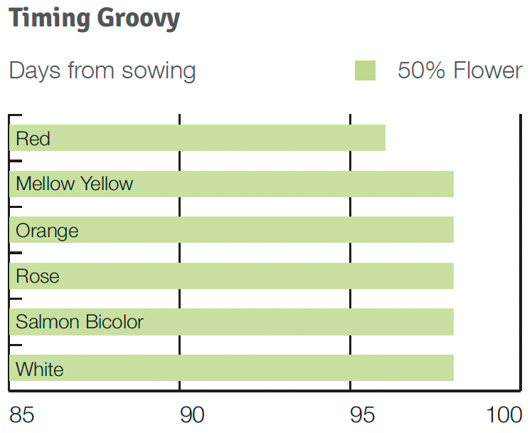 Timing Groovy