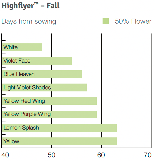 Timing Highflyer Fall