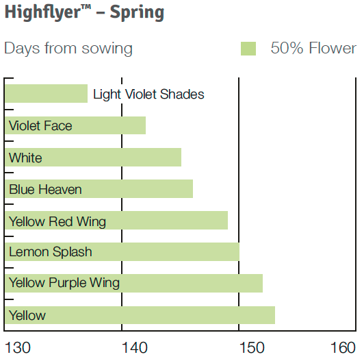 Timing Highflyer Spring