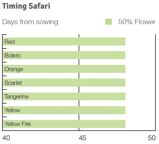 Timing Safari