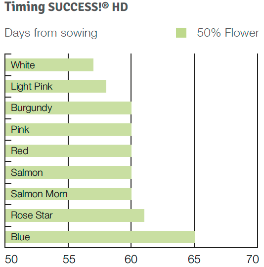 Timing Success HD