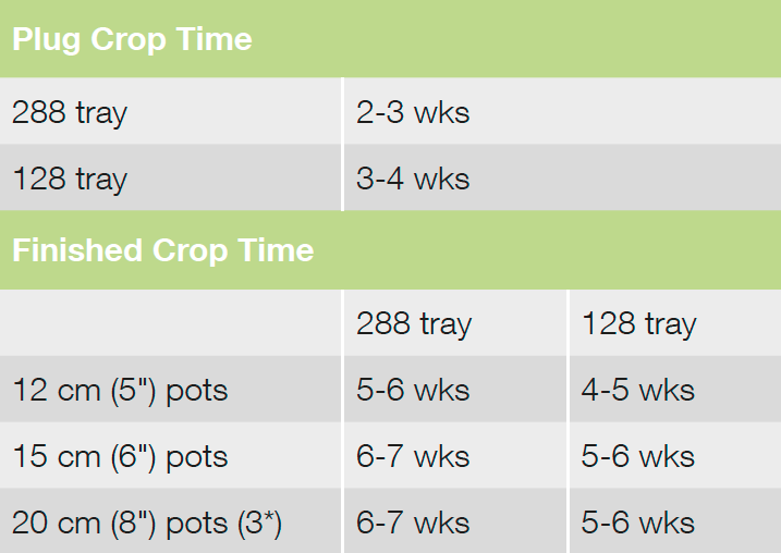 croptime Bert