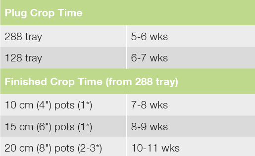 Croptime Joey