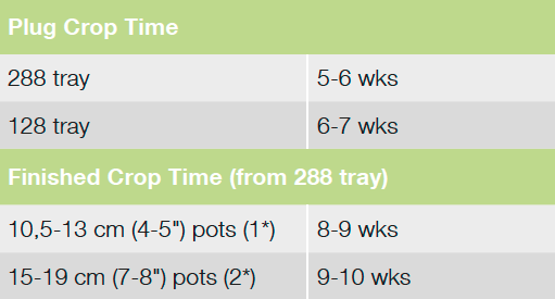 Croptime ToTo