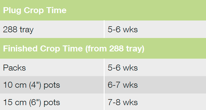 Croptime Zany