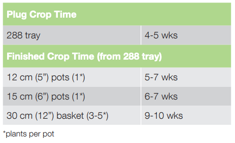 Crop Time BOOM TR