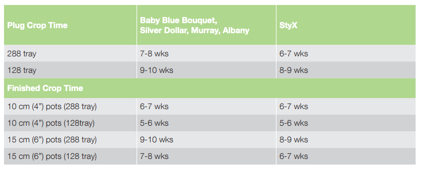 Crop Time Silver Dollar