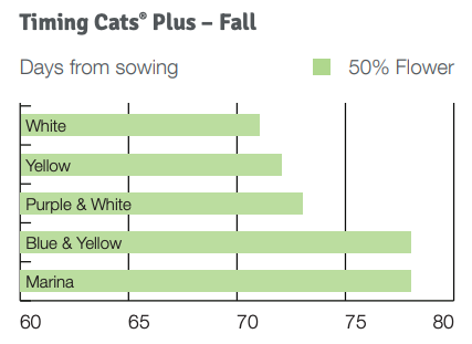 Timing Cats Plus Fall