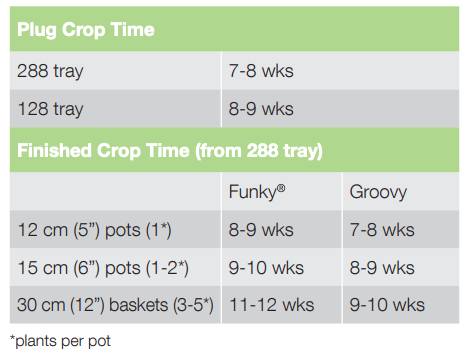 Crop Time Groovy