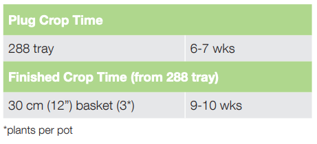 Crop Time Graffiti Falls