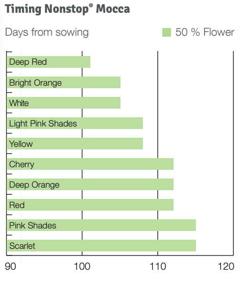 Timing Nonstop Mocca