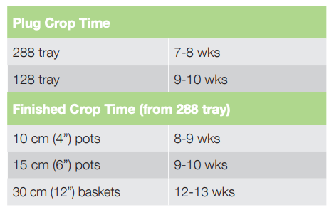 Crop Time Nonstop Mocca