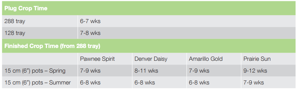 Crop Time Amarillo Gold