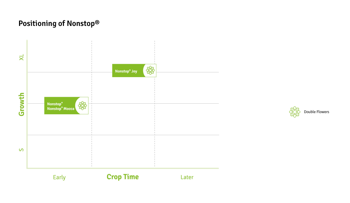 Timing Charts Nonstop