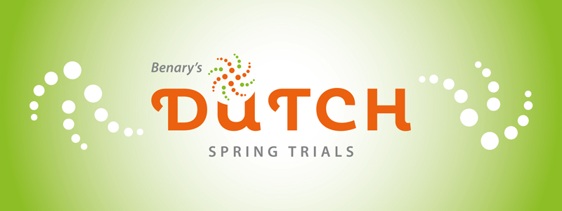 Dutch Spring Trials