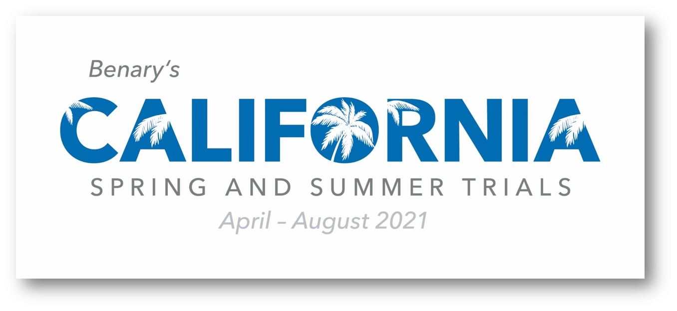 Benary's California Spring & Summer Trials 2021 Benary's California Spring & Summer Trials 2021