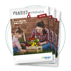 Pansies & Friends - Edition 2021