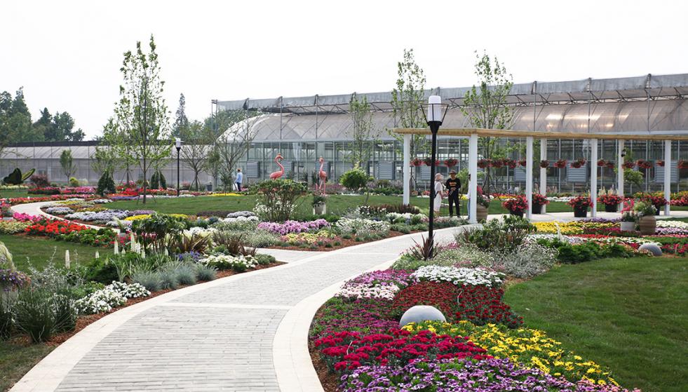 Benary Flower Trials 2019 in China