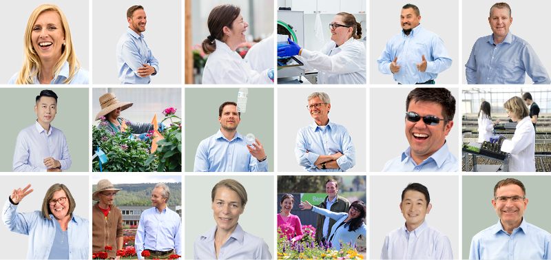 Faces of Benary
