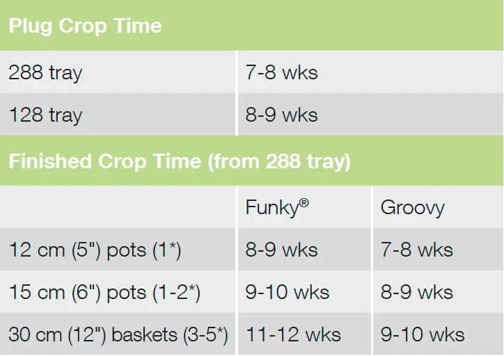Crop Time Funky