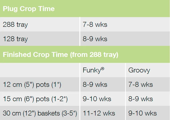 Crop Time Groovy
