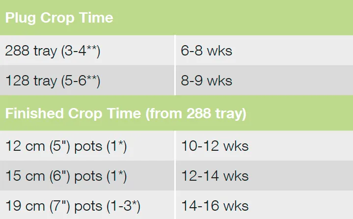 Croptime Chill-Out