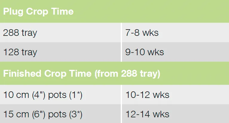 Croptime Elise