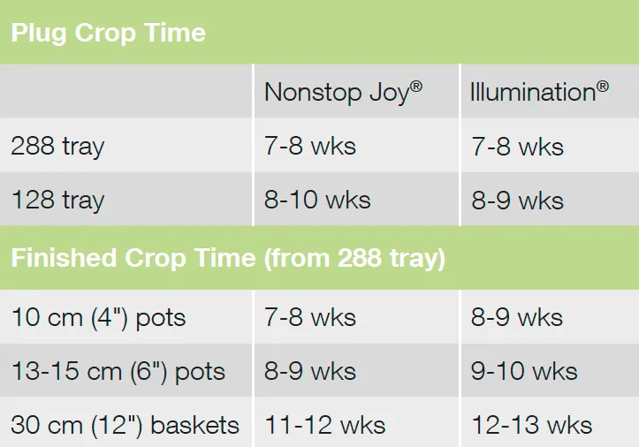 Crop Time Nonstop Joy