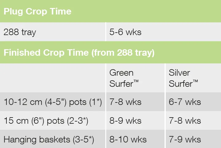 Croptime Silver Surfer