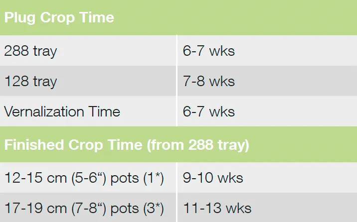 Croptime Spring Magic