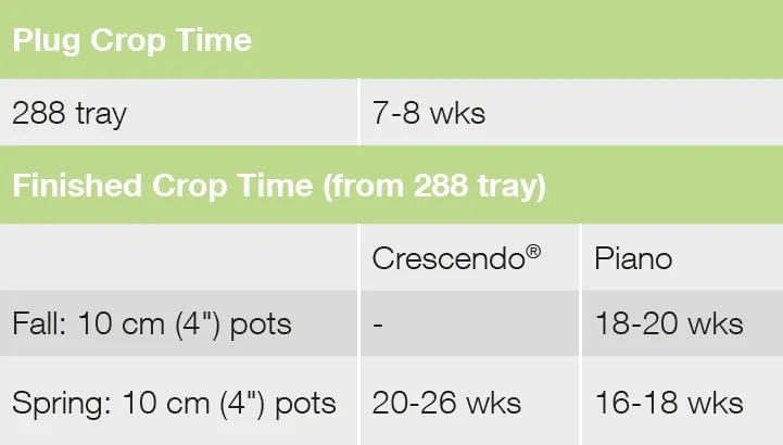 Droptime Crescendo