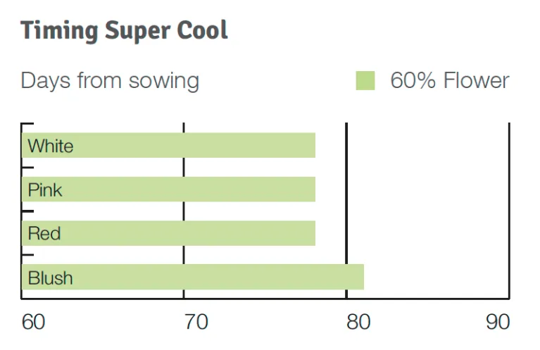 Super Cool