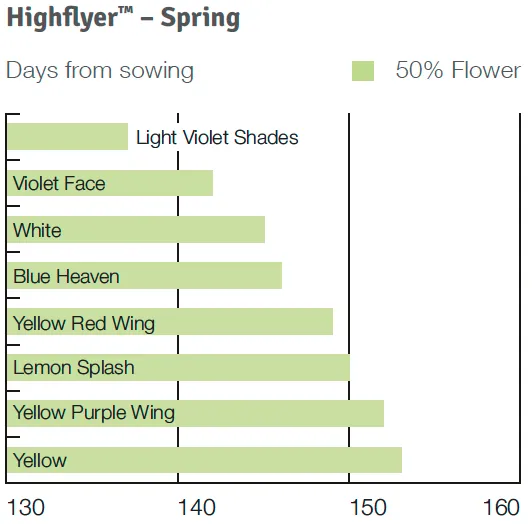 Timing Highflyer Spring