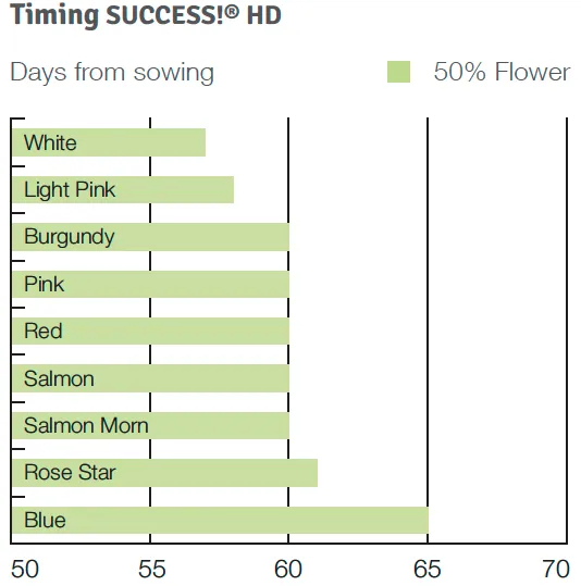 Timing Success HD