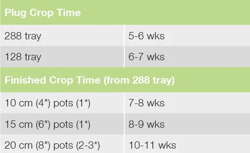 Croptime Joey